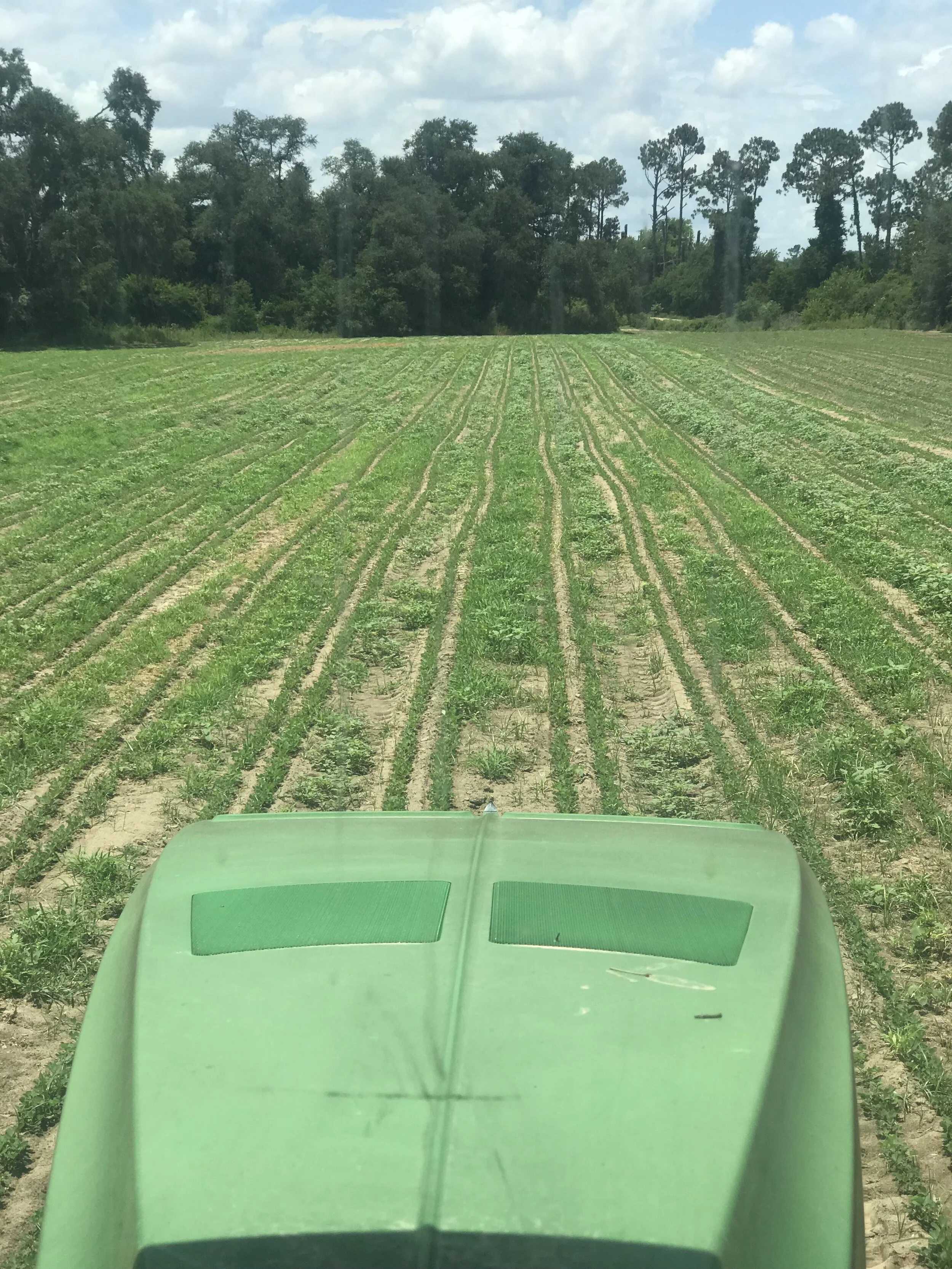 USDA Accepting Applications To Help Cover Organic Certification Costs