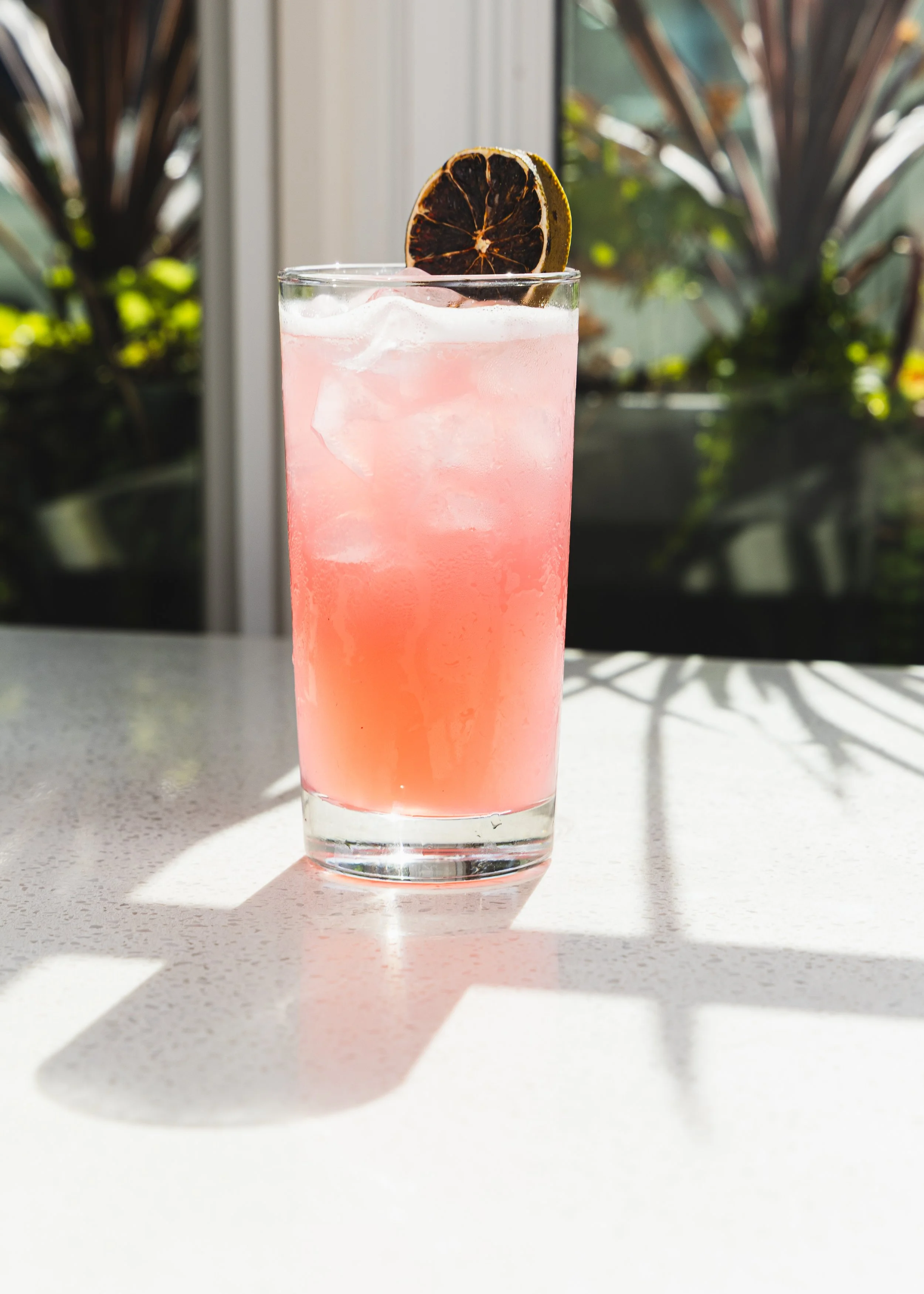 Pink iced beverage with a dried lemon slice garnish in a tall glass on a white surface, with sunlight creating shadows, outdoor setting with plants in the background.