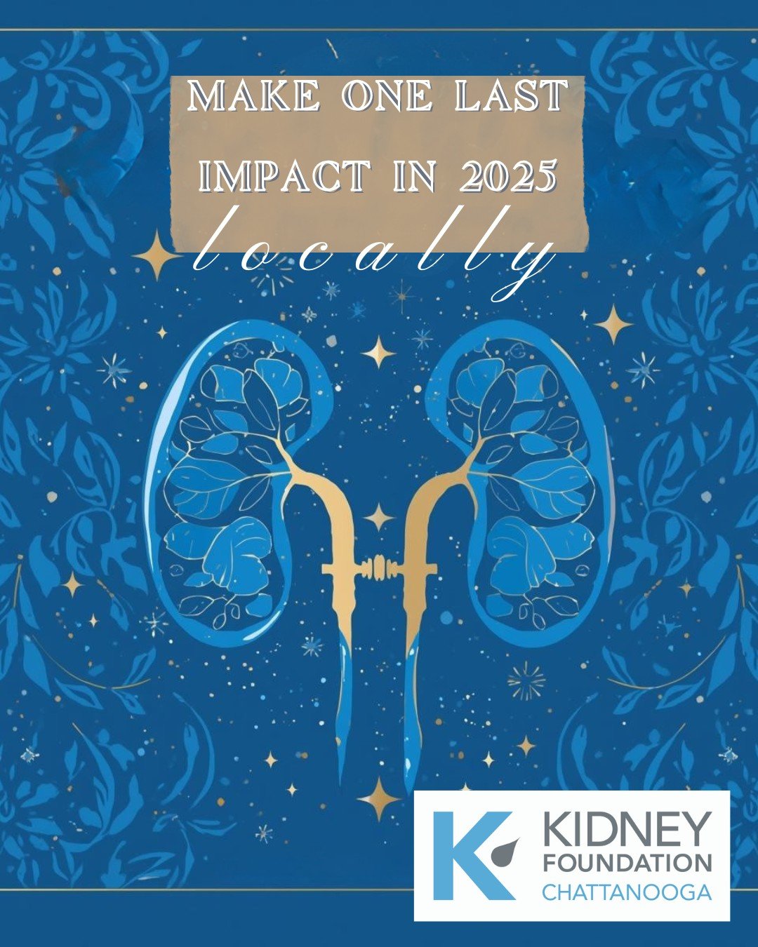 THANK YOU to everyone who supported kidney patients in 2025. 
Because of you, over 400 patients received support and families stayed in their homes.
There is still time to finish strong.
If you've been thinking about giving- today is the day!
100% lo