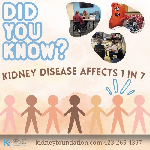 Kidney disease affects 1 in 7 adults. That means someone you know- your coworker, your neighbor, your kid's teacher- might be facing dialysis and financial crisis right now.
Supporting the Kidney Foundation of Greater Chattanooga ensures that you or 
