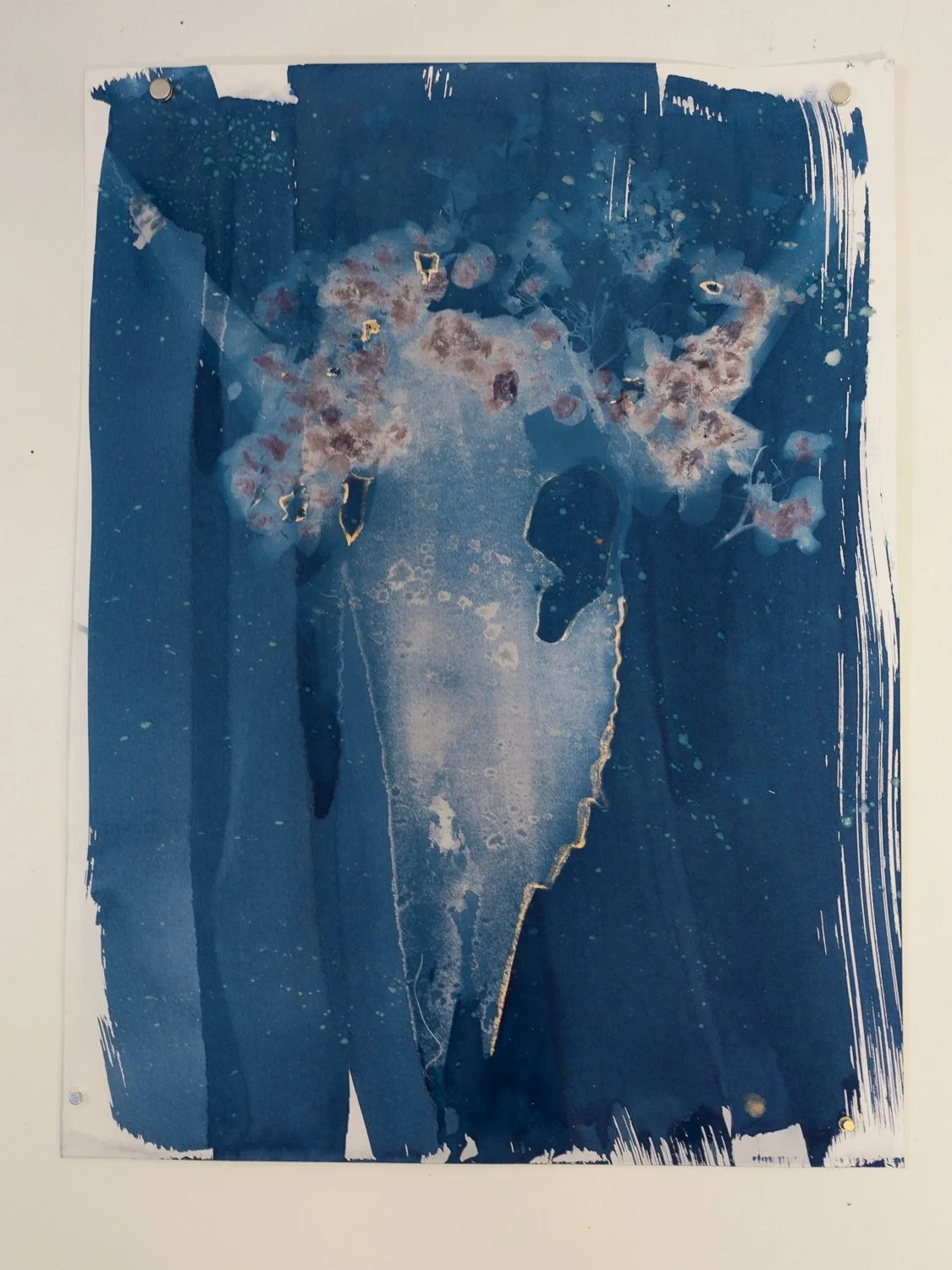 cyanotype-02.jpg