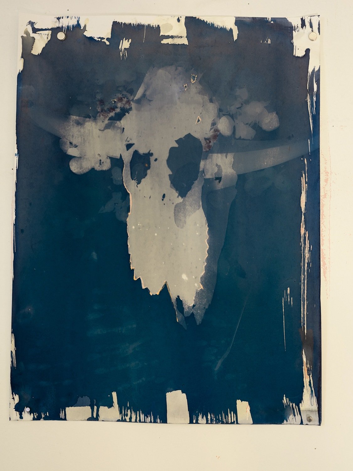 cyanotype-01.jpg