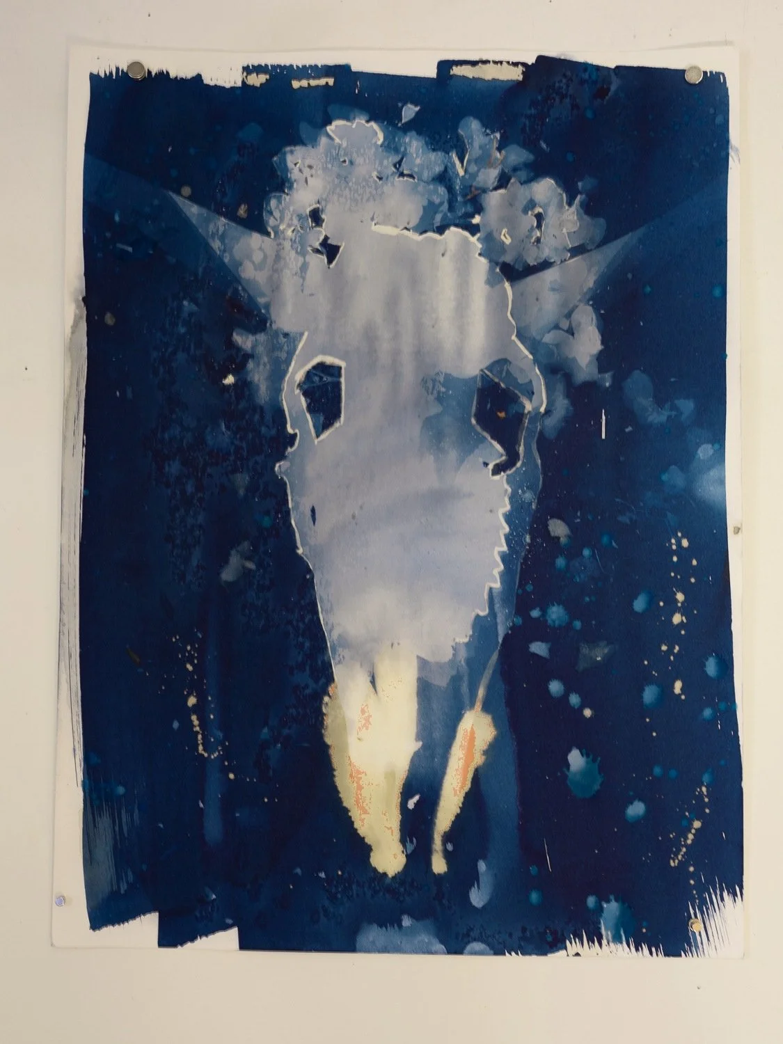 cyanotype-04.jpg