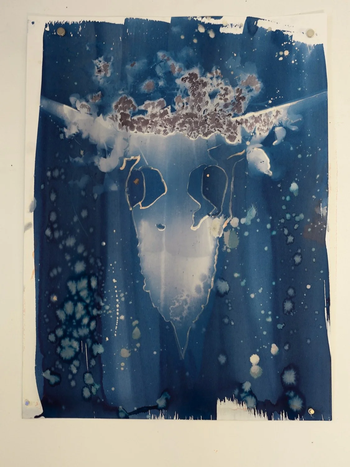 cyanotype-03.jpg