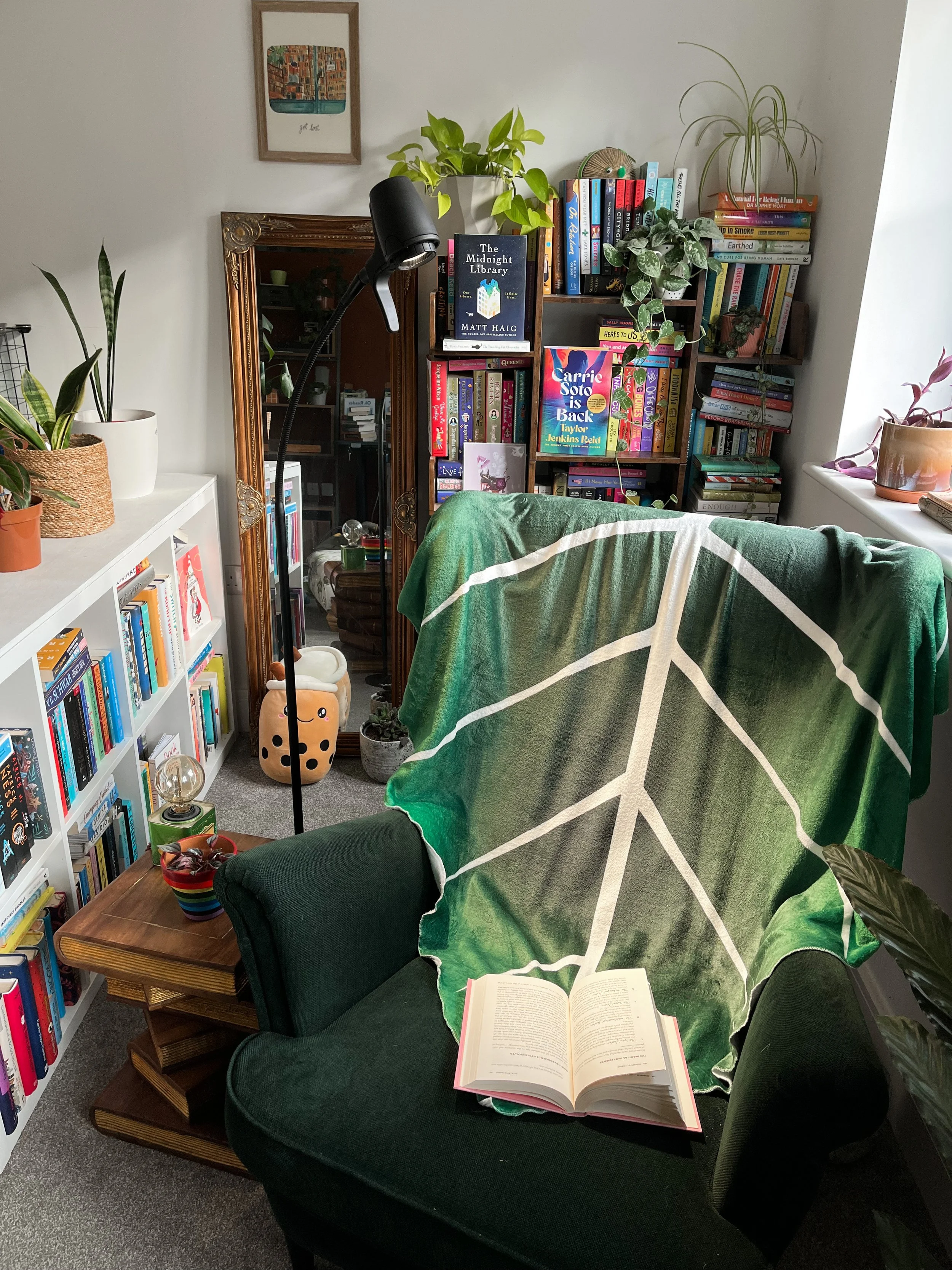 Why are Serious Readers’ Lights so expensive? — Julia's Bookcase