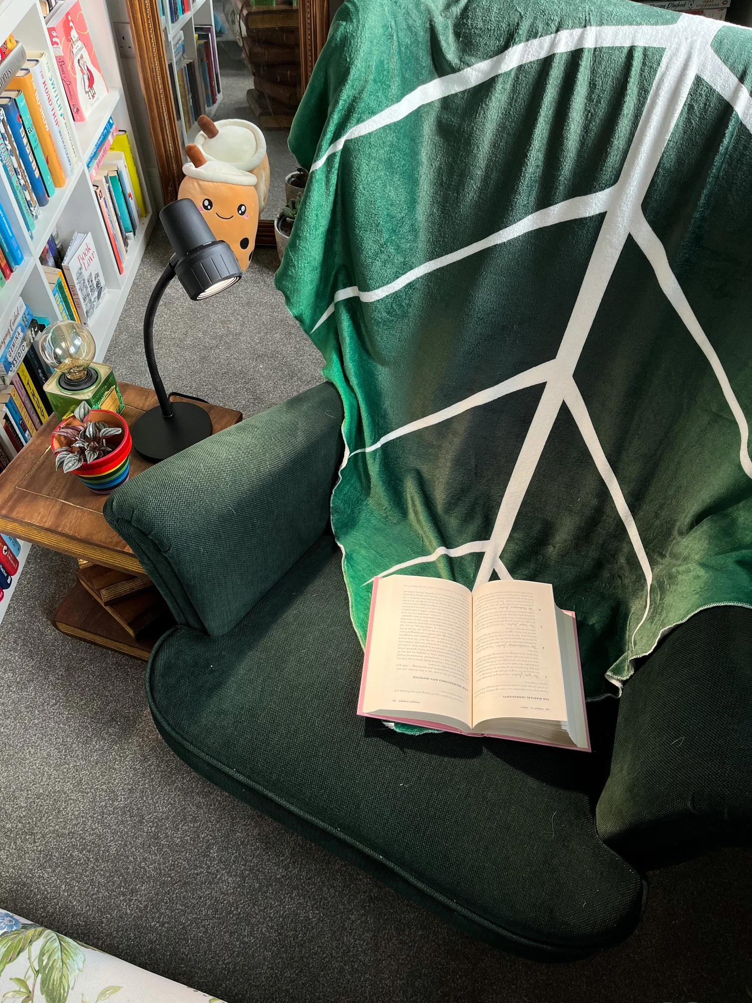 Why are Serious Readers’ Lights so expensive? — Julia's Bookcase