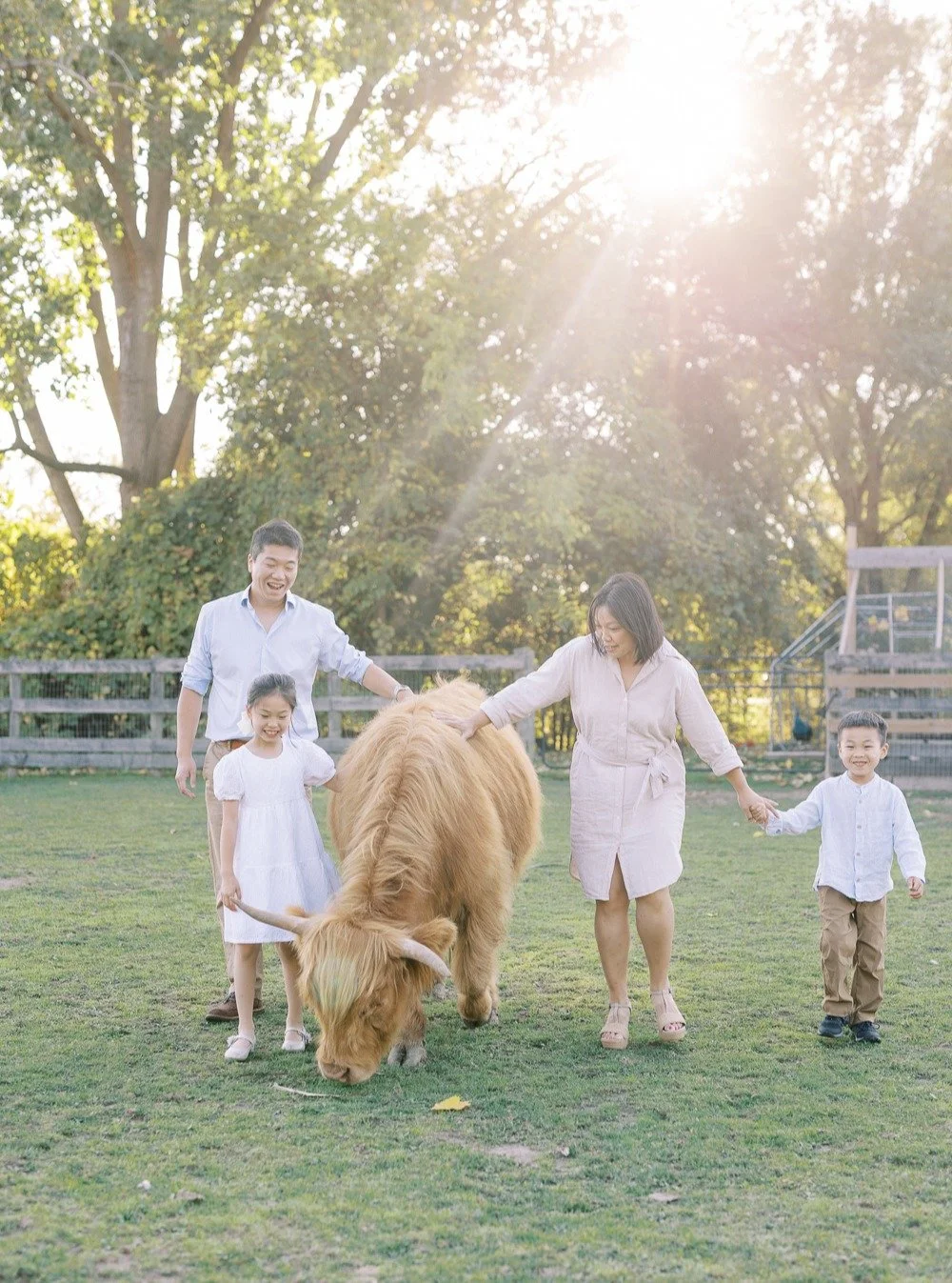 Another year with this beautiful family, and it's one of the best yet 😍. 

P.S: @mills_family_farm_ is such a gem!!