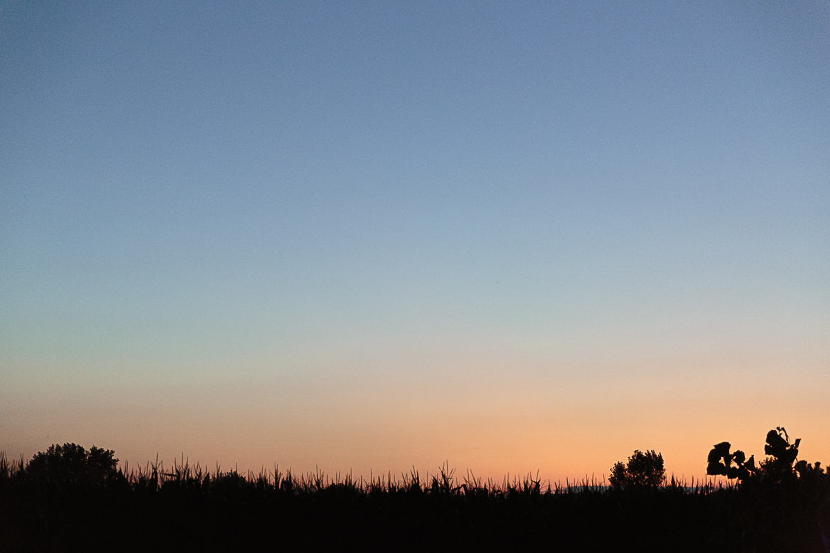 _C8A0133.jpg