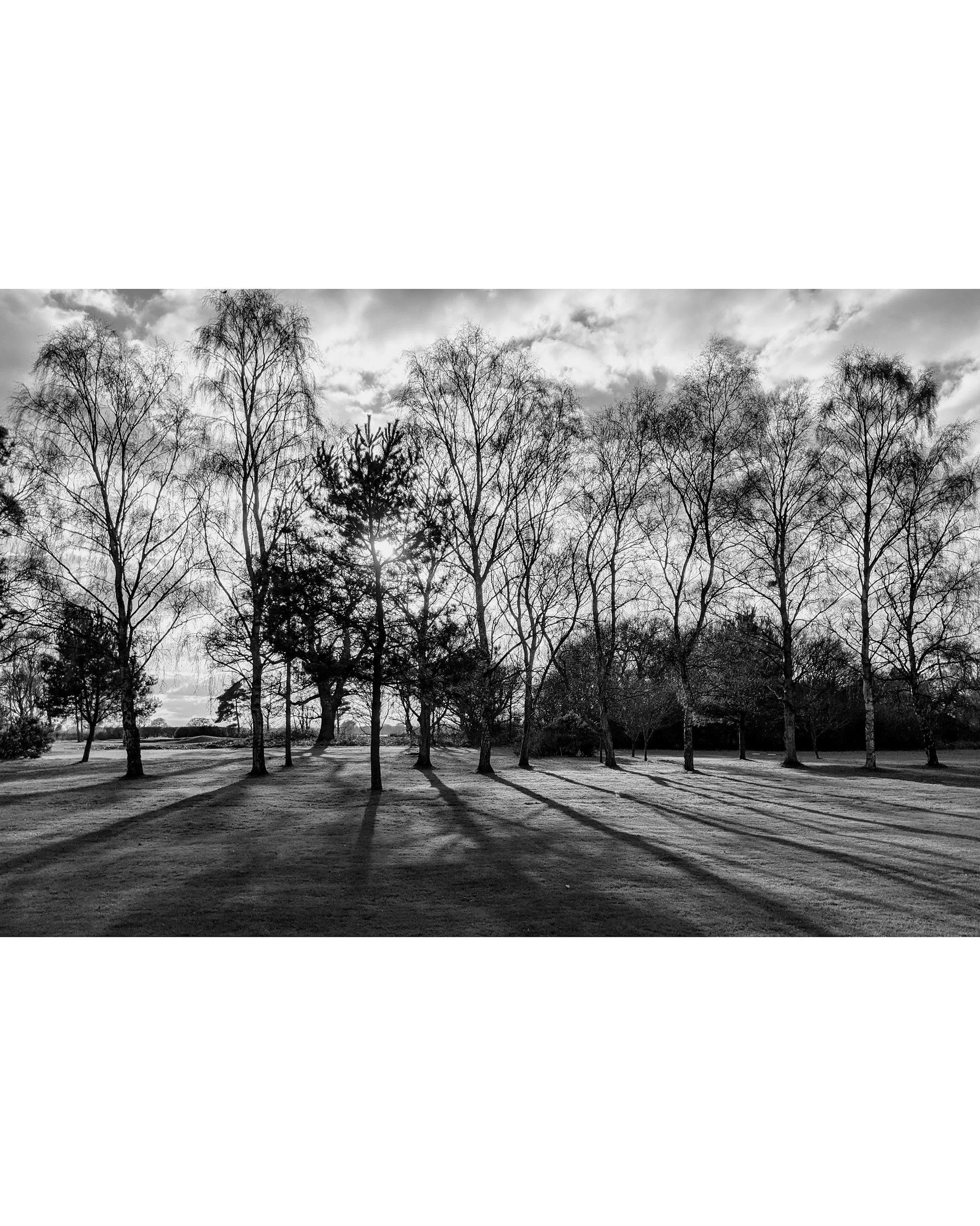 friday walk 2.jpg