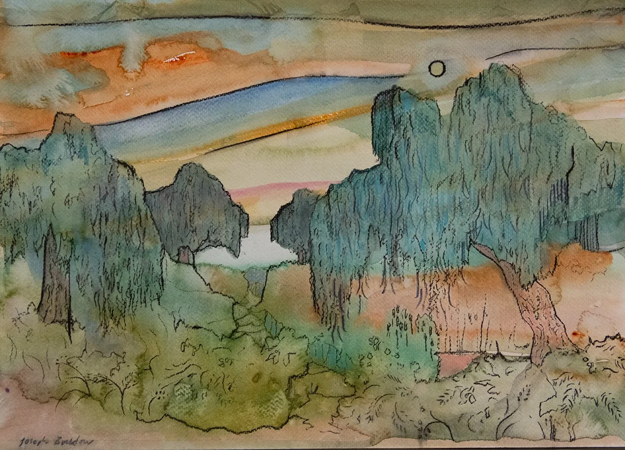 Willows Study • Watercolour & Charcoal on Paper • 30 x 42 cm. 2026