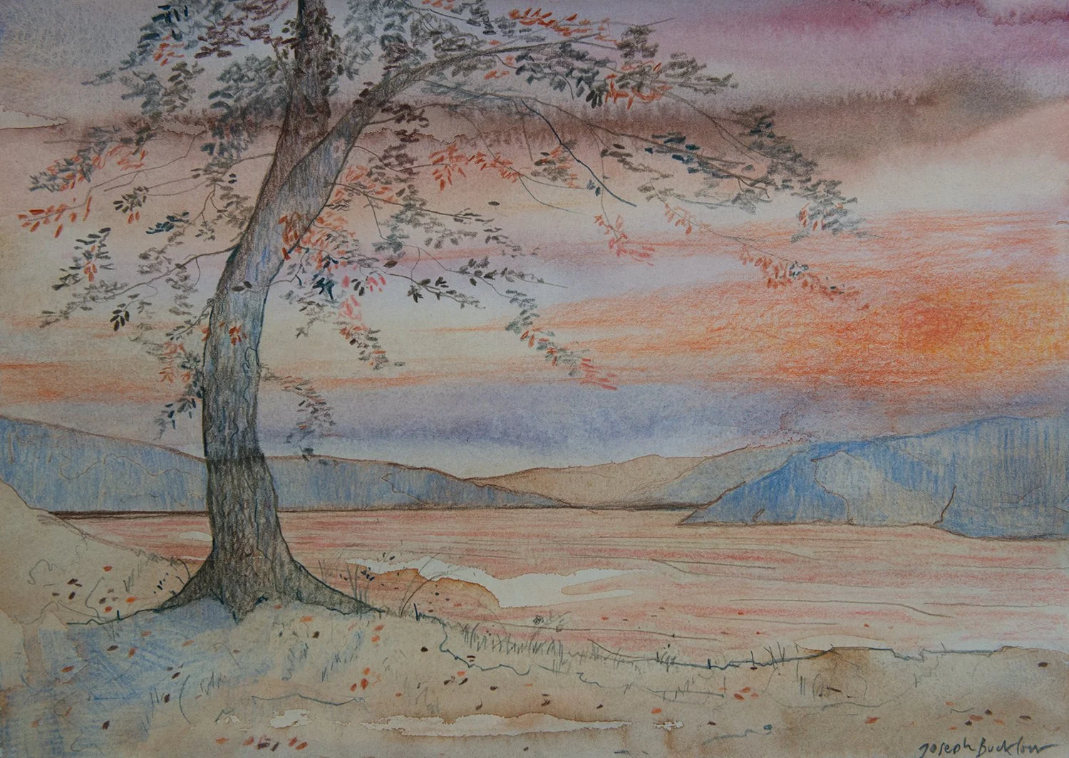 The Morning Shadow • Mixed Media on Paper • 30 x 42 cm. June 19th, 2026. 
