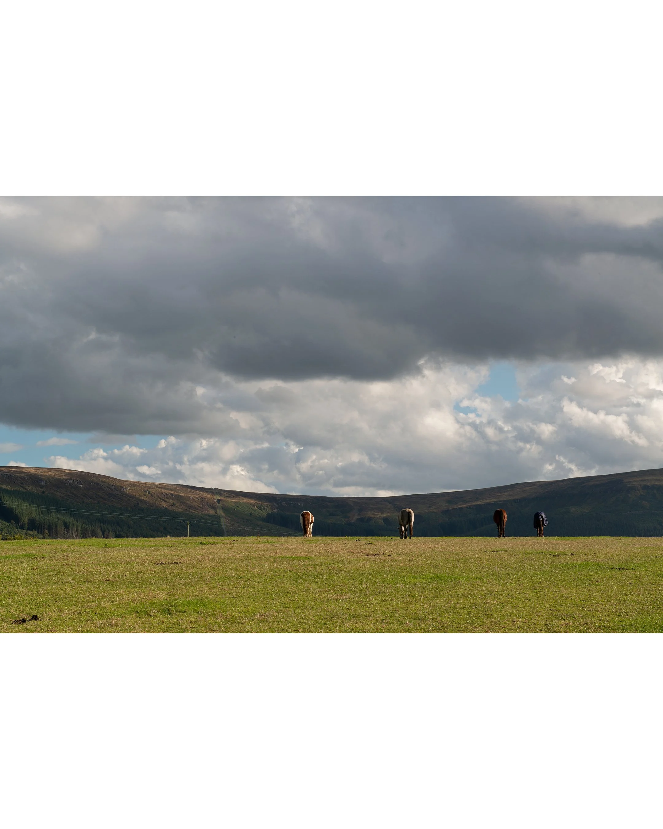Greenhow 1.jpg