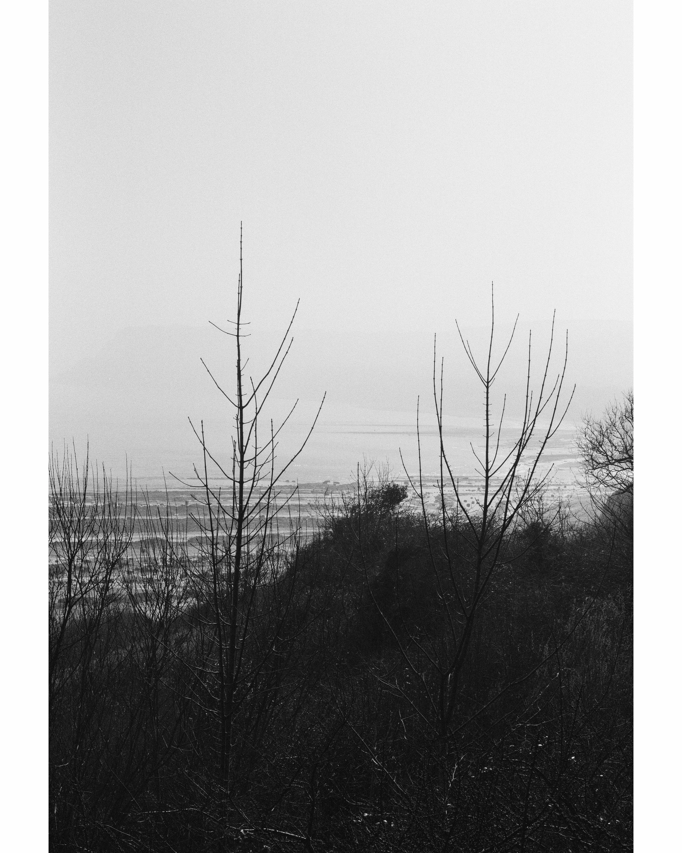 bay 6.jpg
