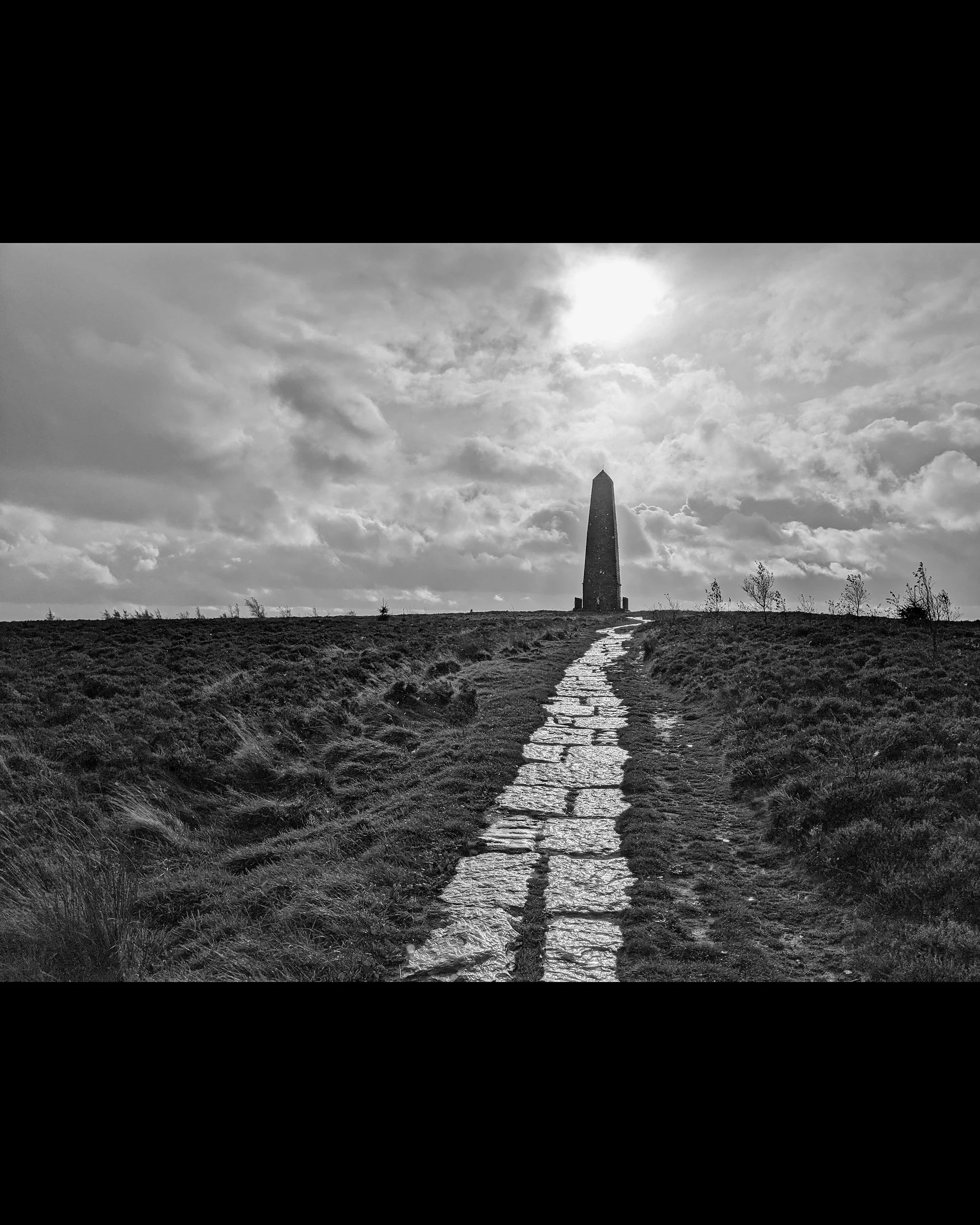 Roseberry 1.jpg