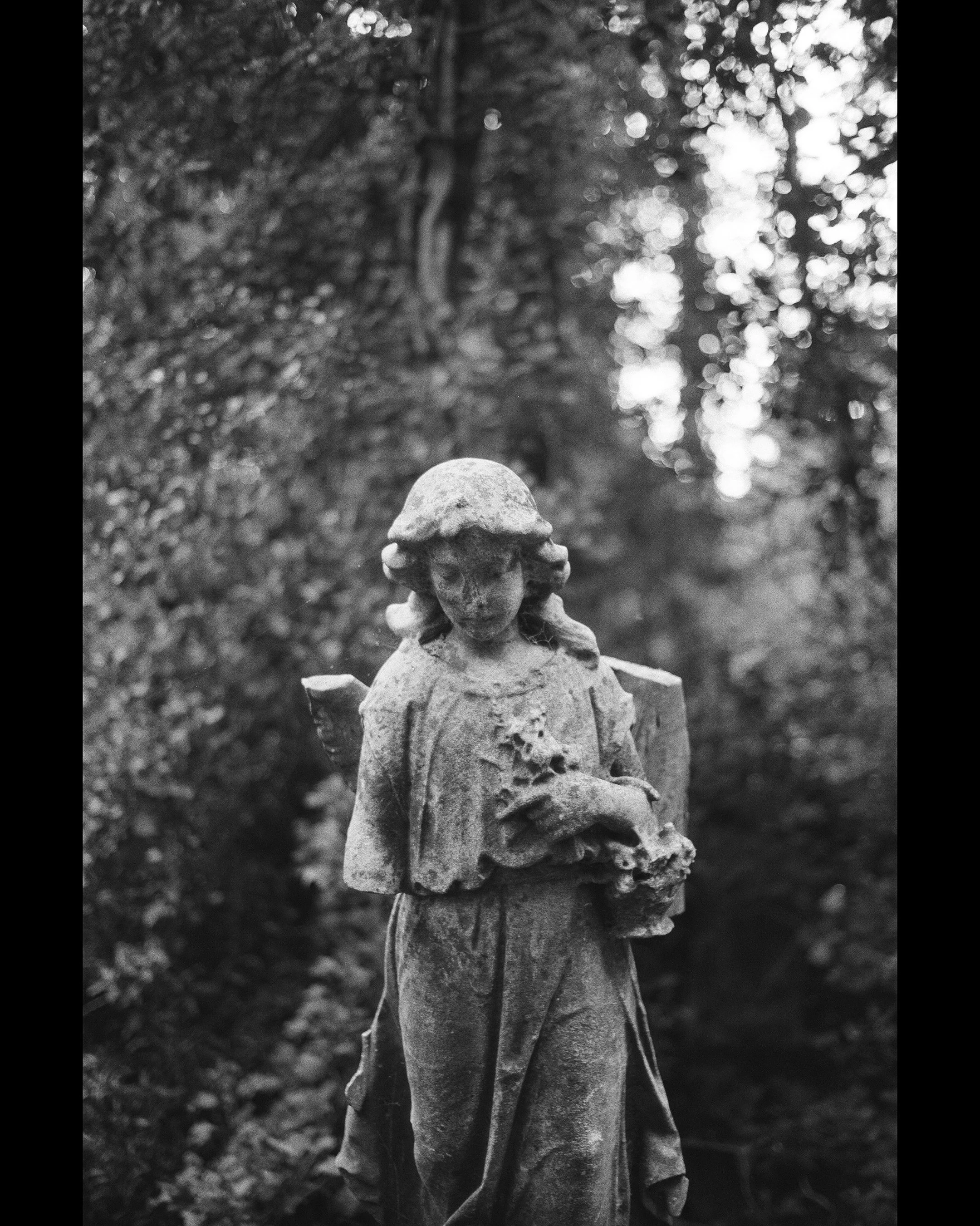 ILFORD fp4 1.jpg