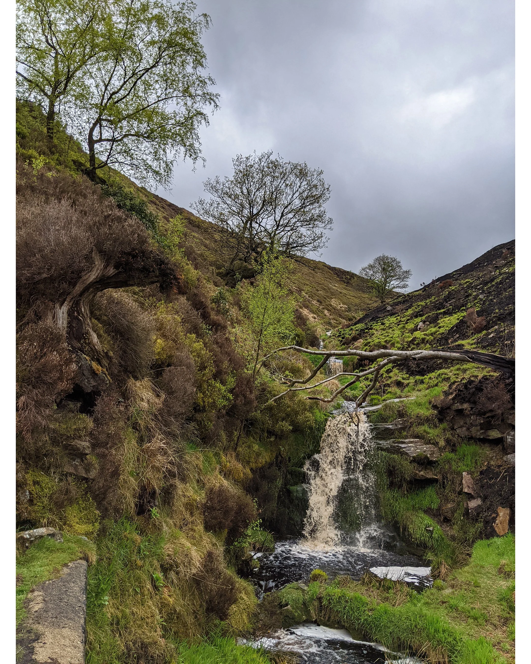 Marsden 9.jpg