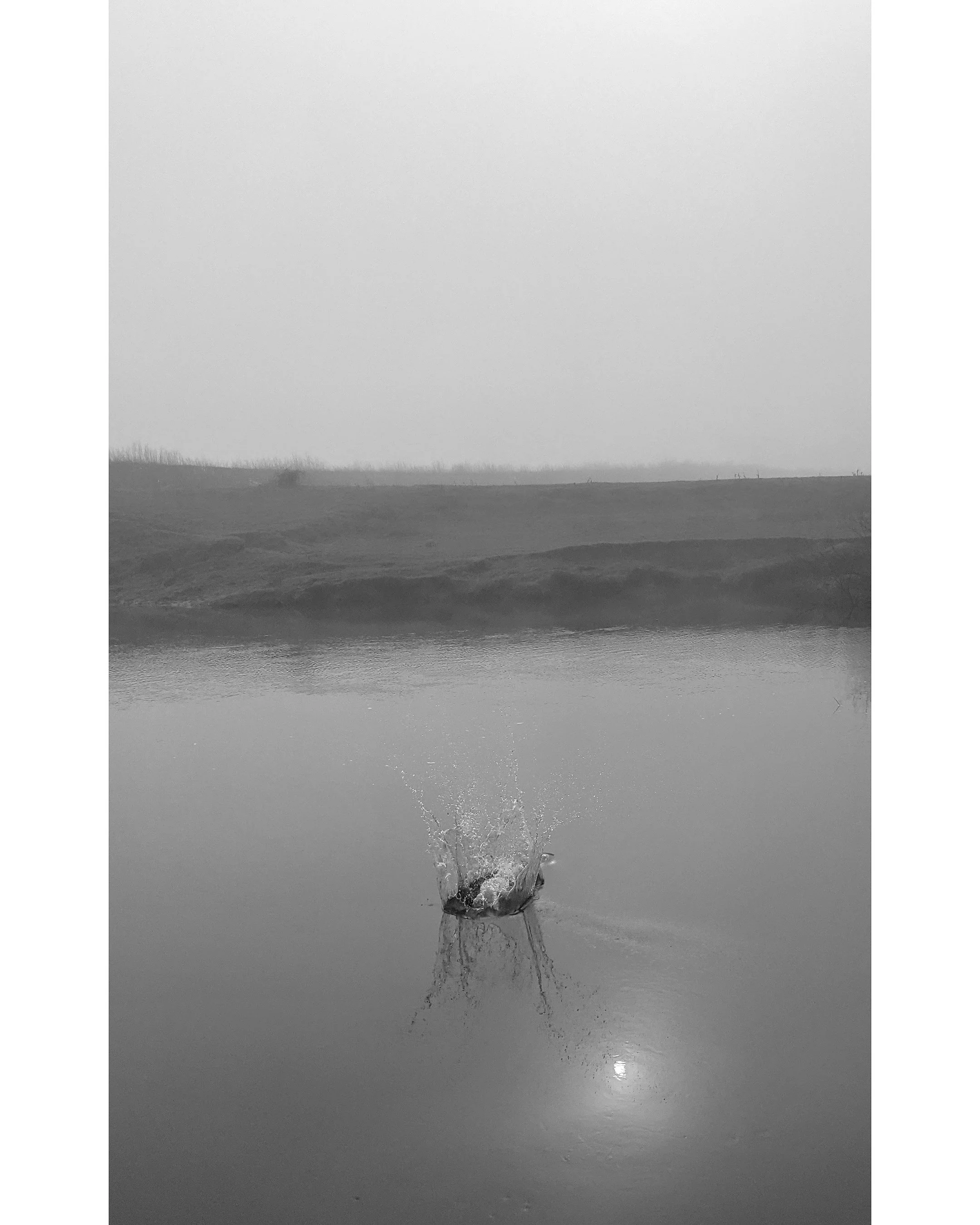 Bh no.13 (2) copy.jpg
