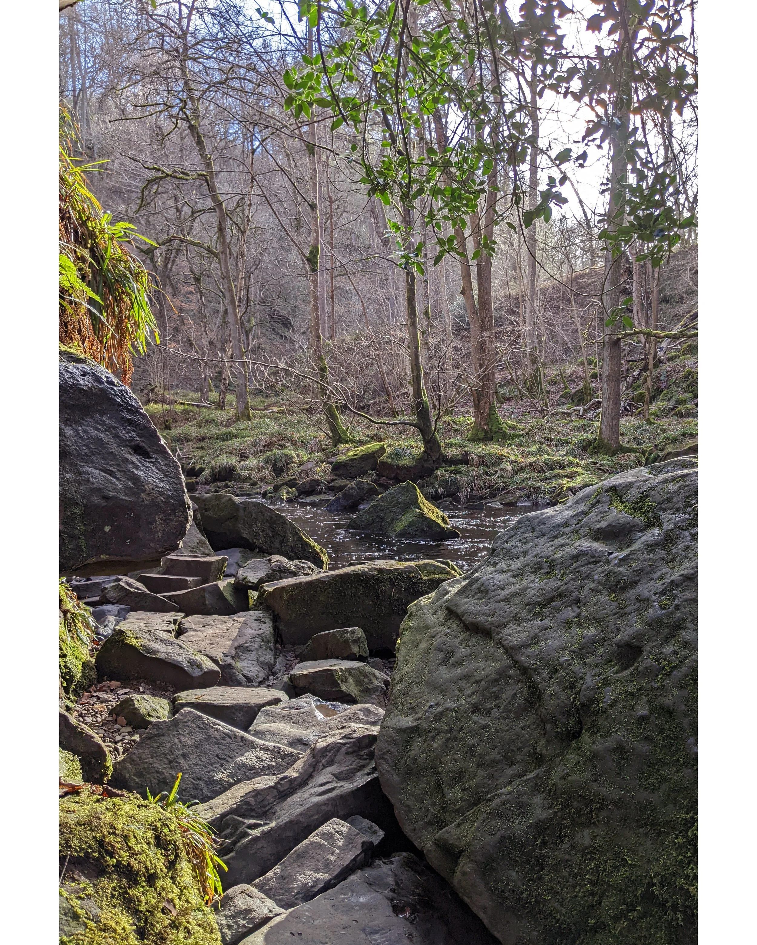 goathland 3.jpg