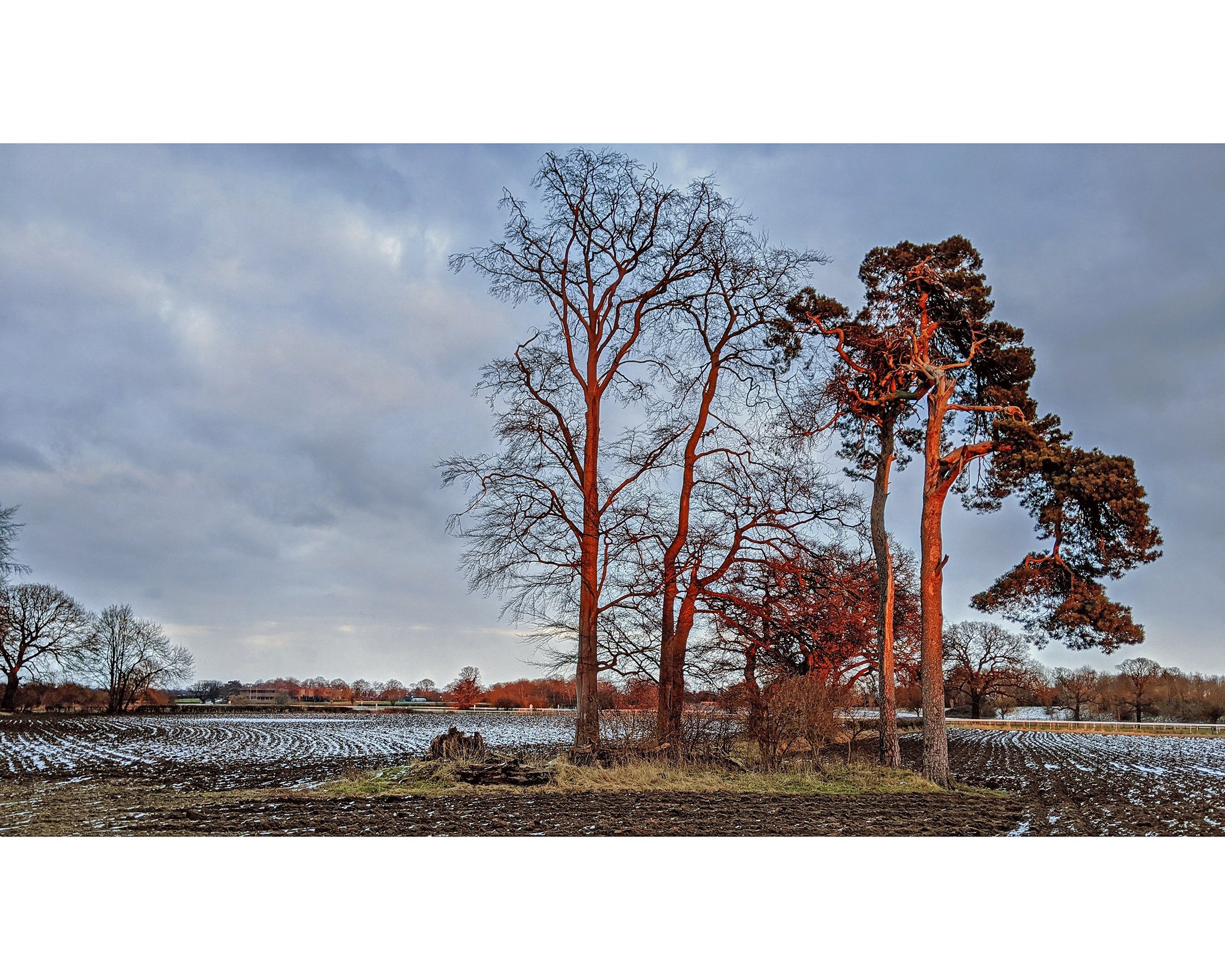 knavesmire 1.jpg