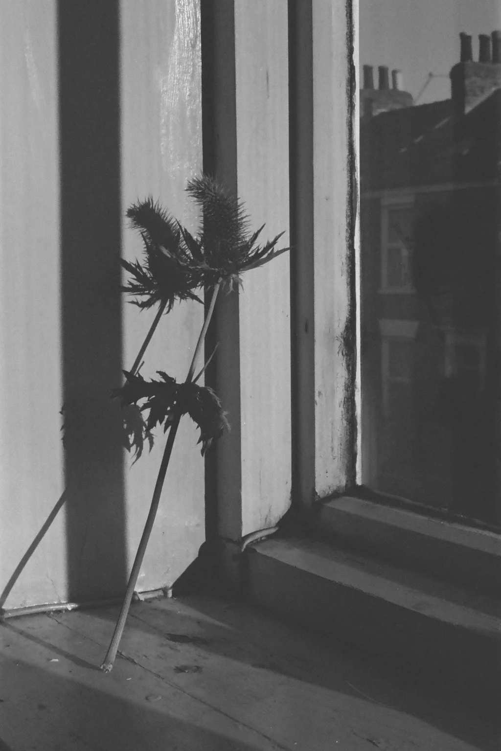 still life 2.jpg