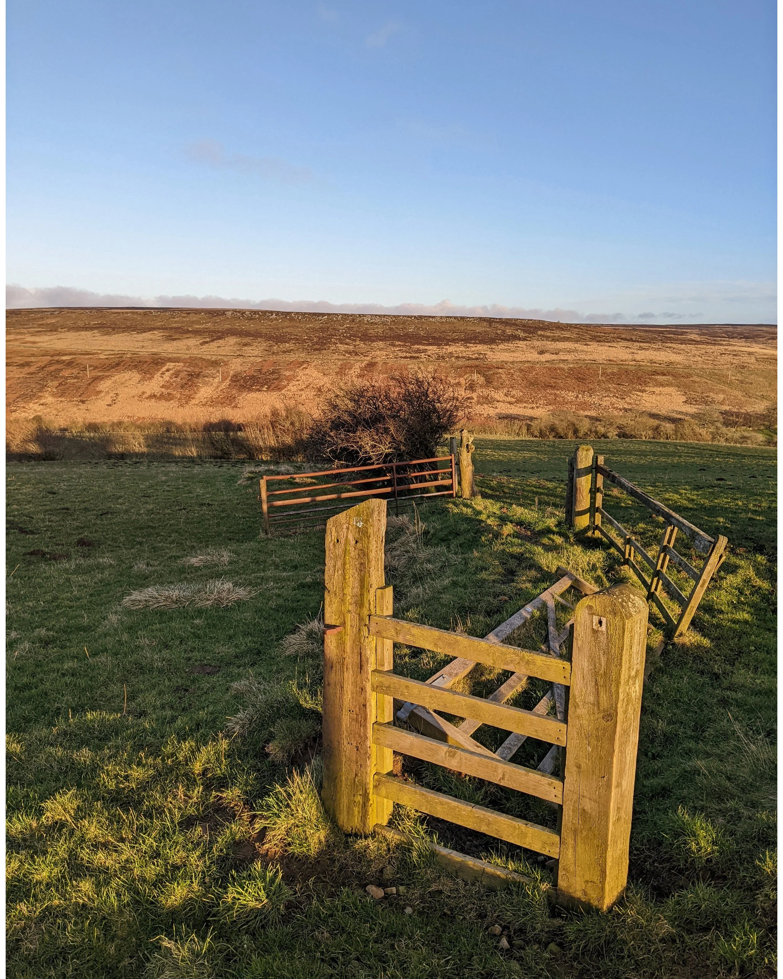 Goathland 7.jpg
