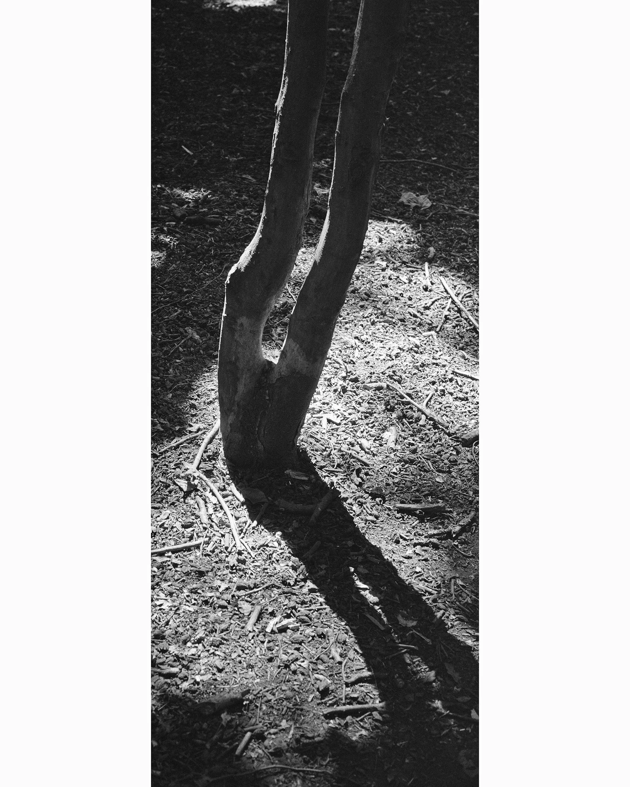 HP5 no.7.jpg