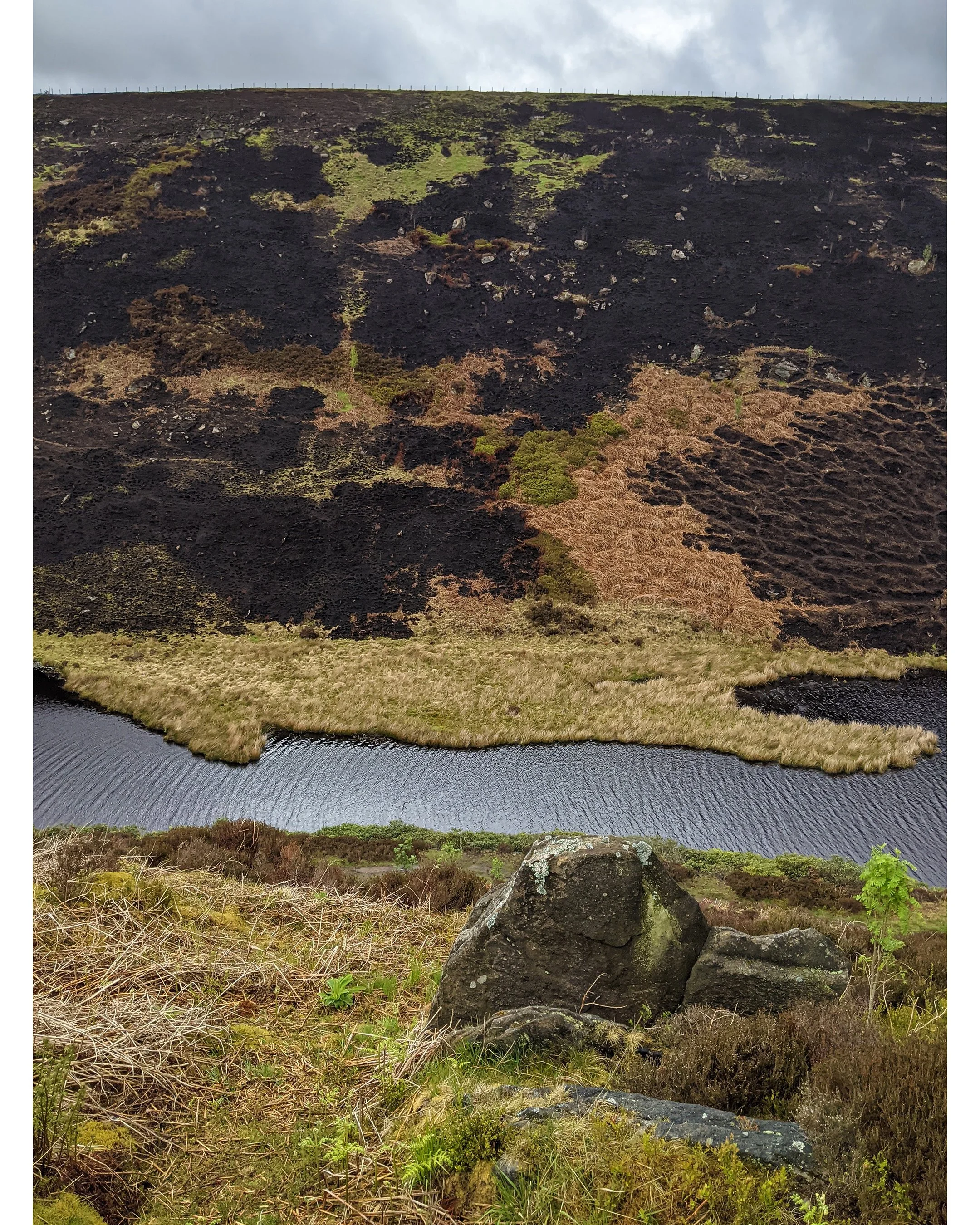 marsden 5.jpg