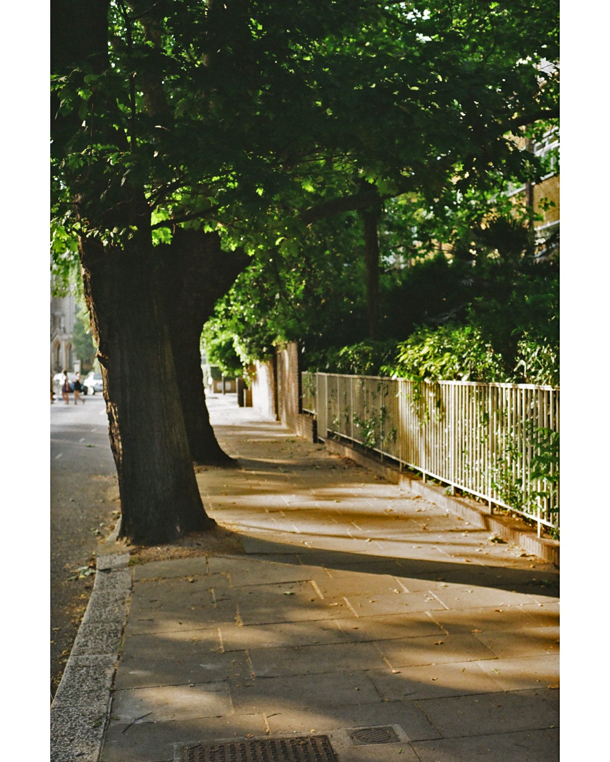 islington 1.jpg