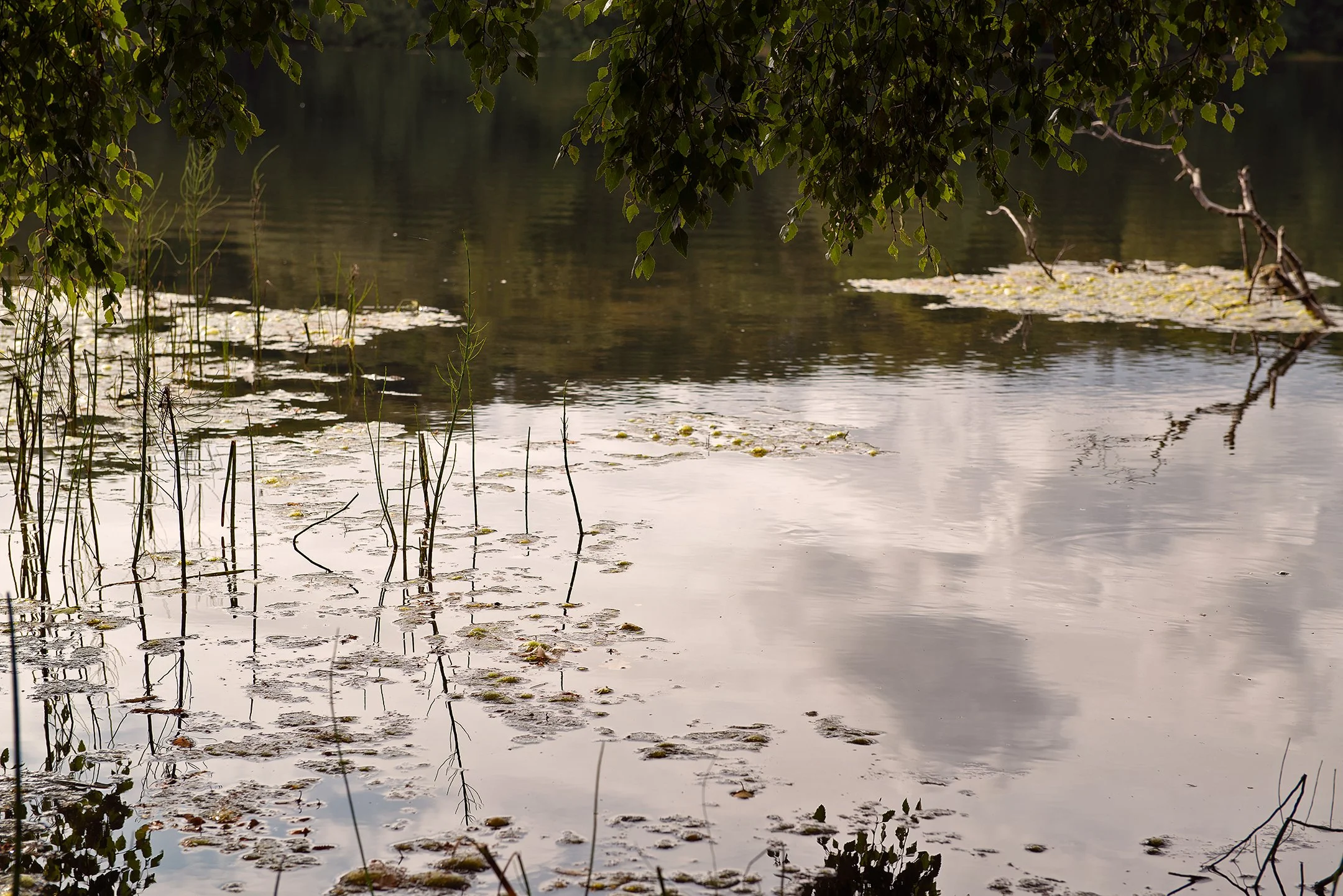 lake 2.jpg