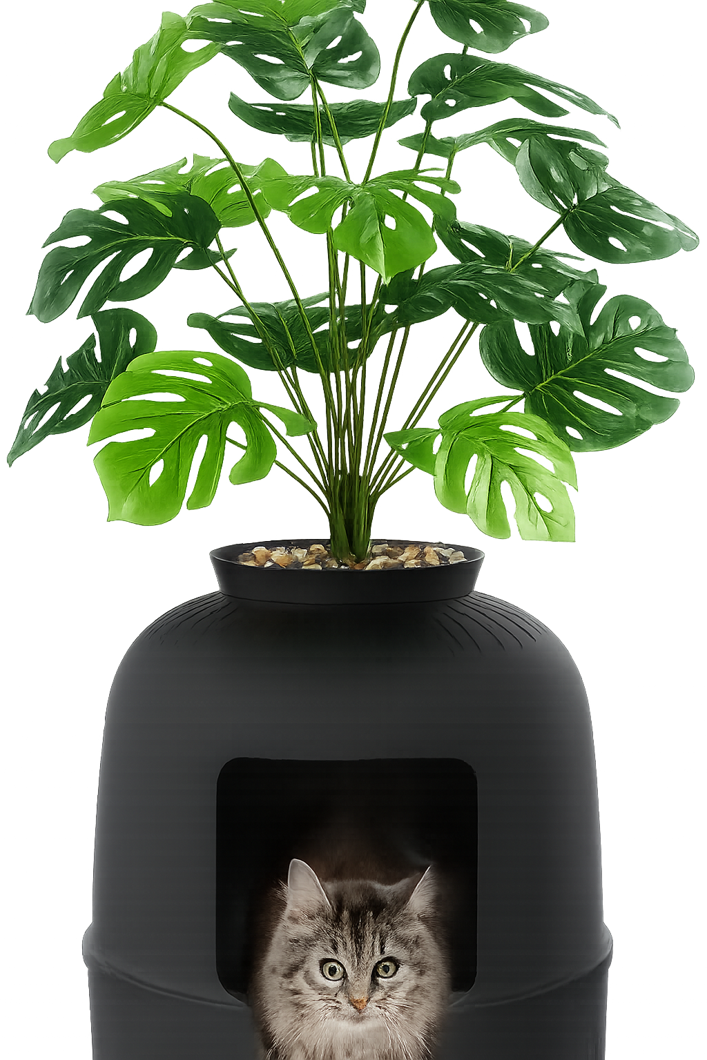 ChatGPT Image Feb 22, 2026 at 10_24_11 PM.png