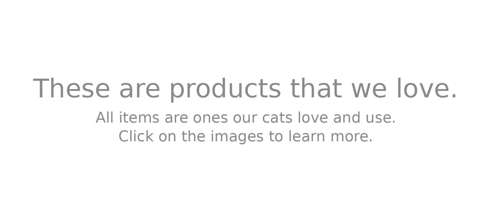 ChatGPT Image Feb 12, 2026 at 11_18_01 PM.png