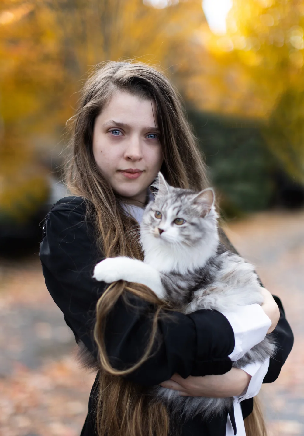 About Us — Heavenly Siberians Washington Siberian Cats