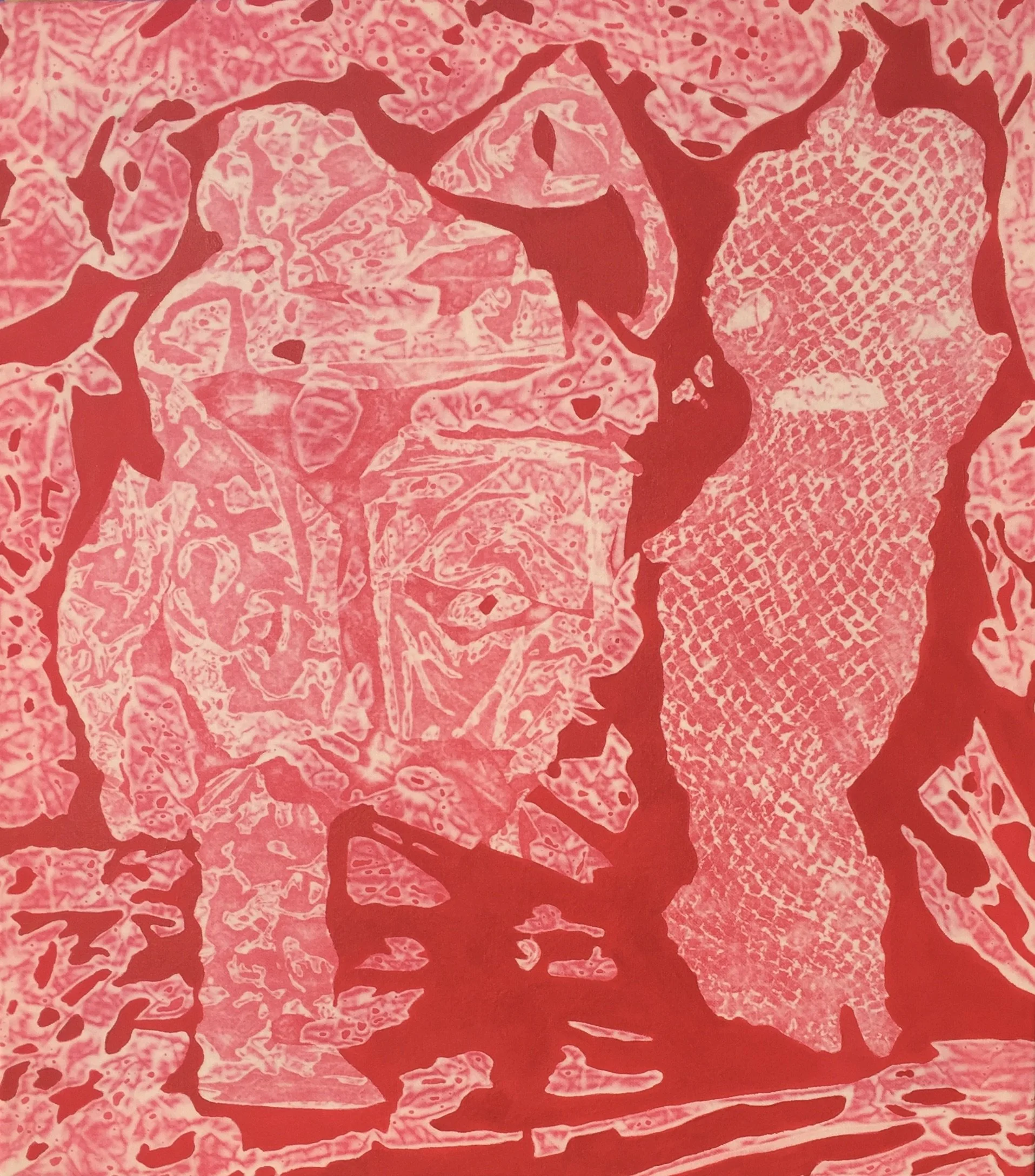  Red Cave  UV dye and acrylic on cotton 