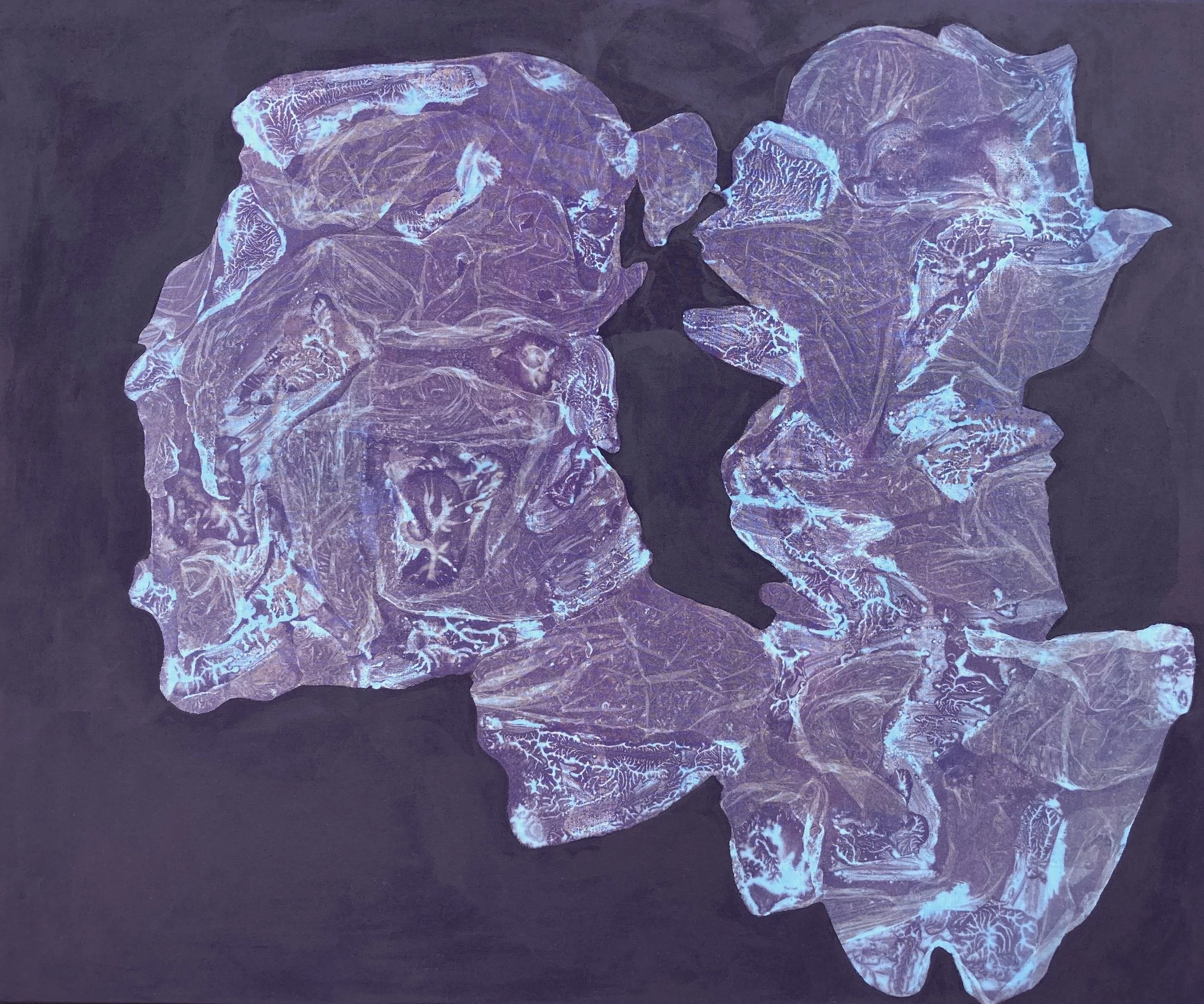  One Riding Another One  UV dye and acrylic on cotton 