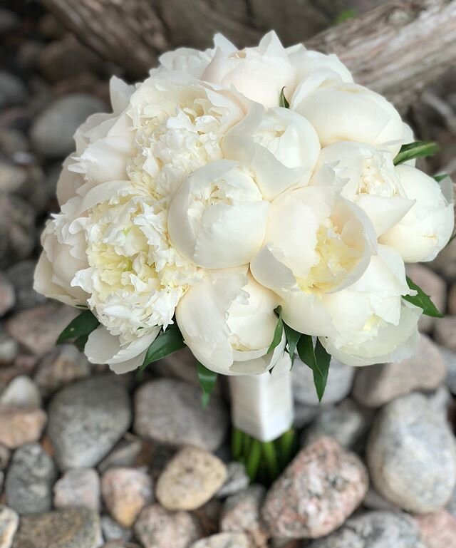 Just peonies, All white, bright and colourful or with a little bling? Which bouquet is your favourite? Tag a bride-to-be!
&bull;
&bull;
&bull;
&bull;
&bull;
#gattoflowers #40years #letusmakethedifference #wedding #weddingday #2019bride #bridetobe2020