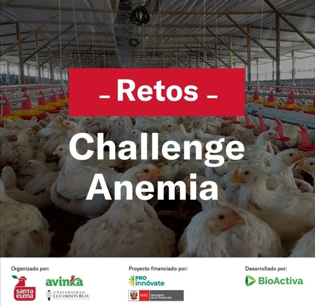 Challenge Anemia