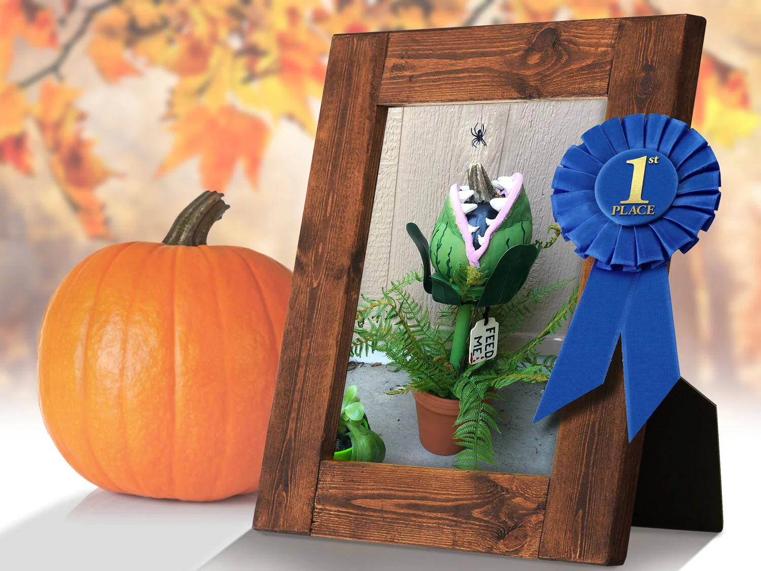 2020_little_shop_pumpkin_design_02.jpg