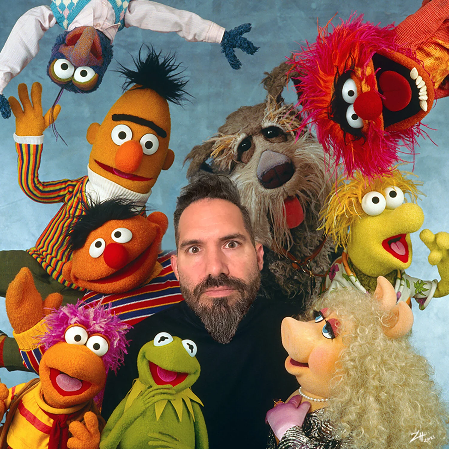 zh-the_muppets.jpg