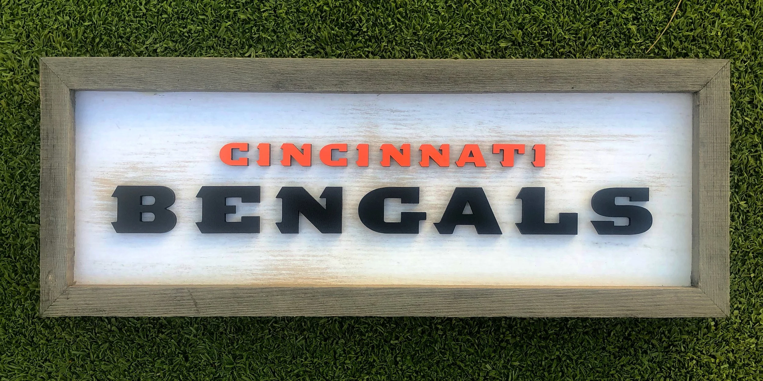 15x5_cinti_bengals_sign_03.jpg