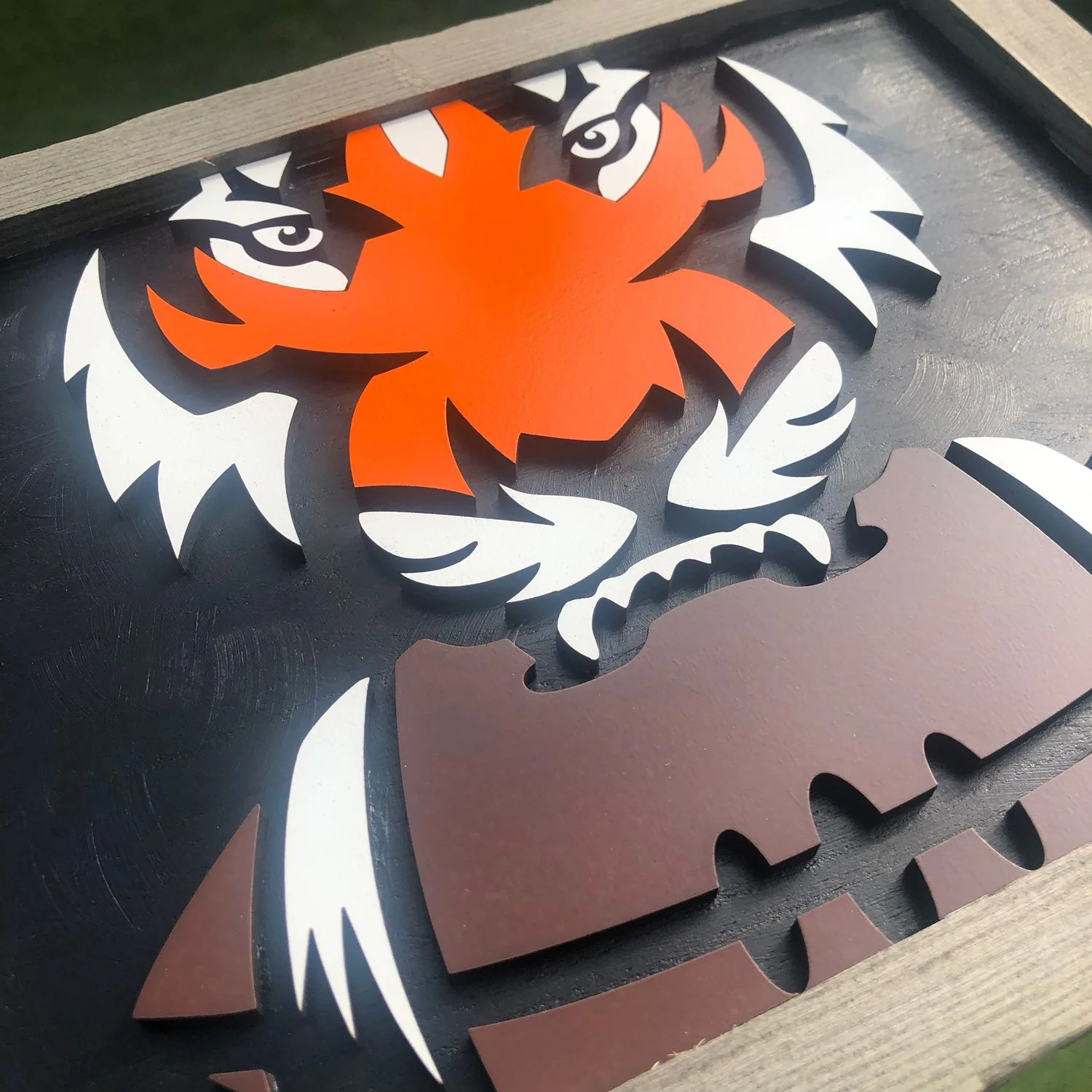 bengal_&_football_sign_01.jpg