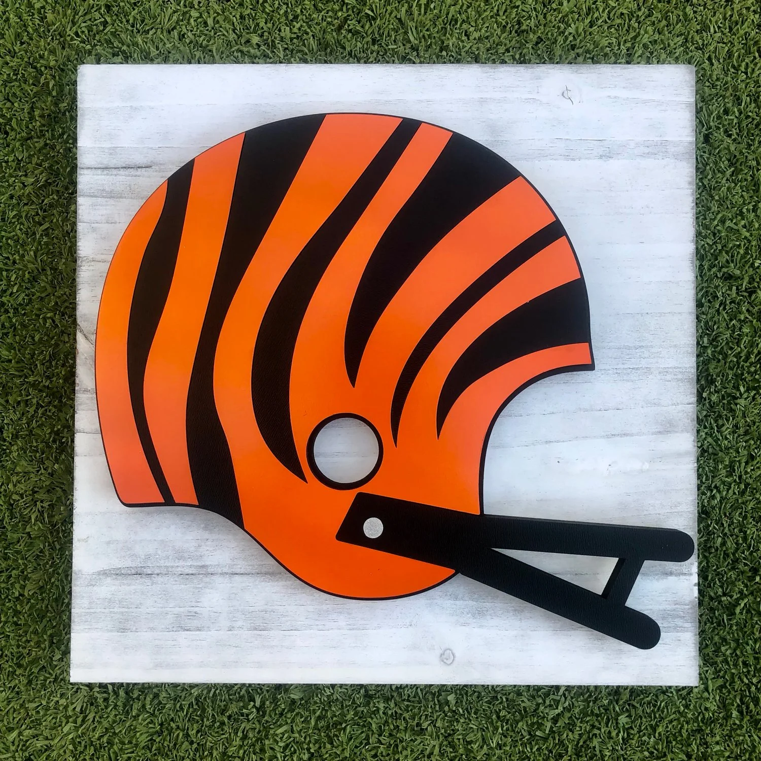 bengals_8x8_signs_07.jpg