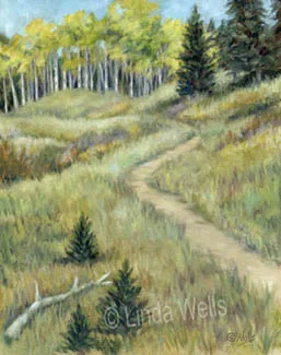 "Hollowell Park, RMNP"