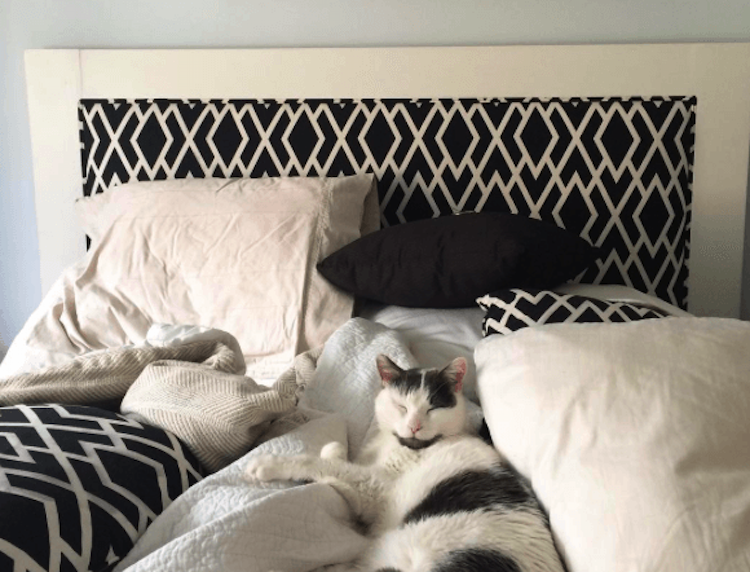 How To Become A Morning Person (No Coffee Required!)