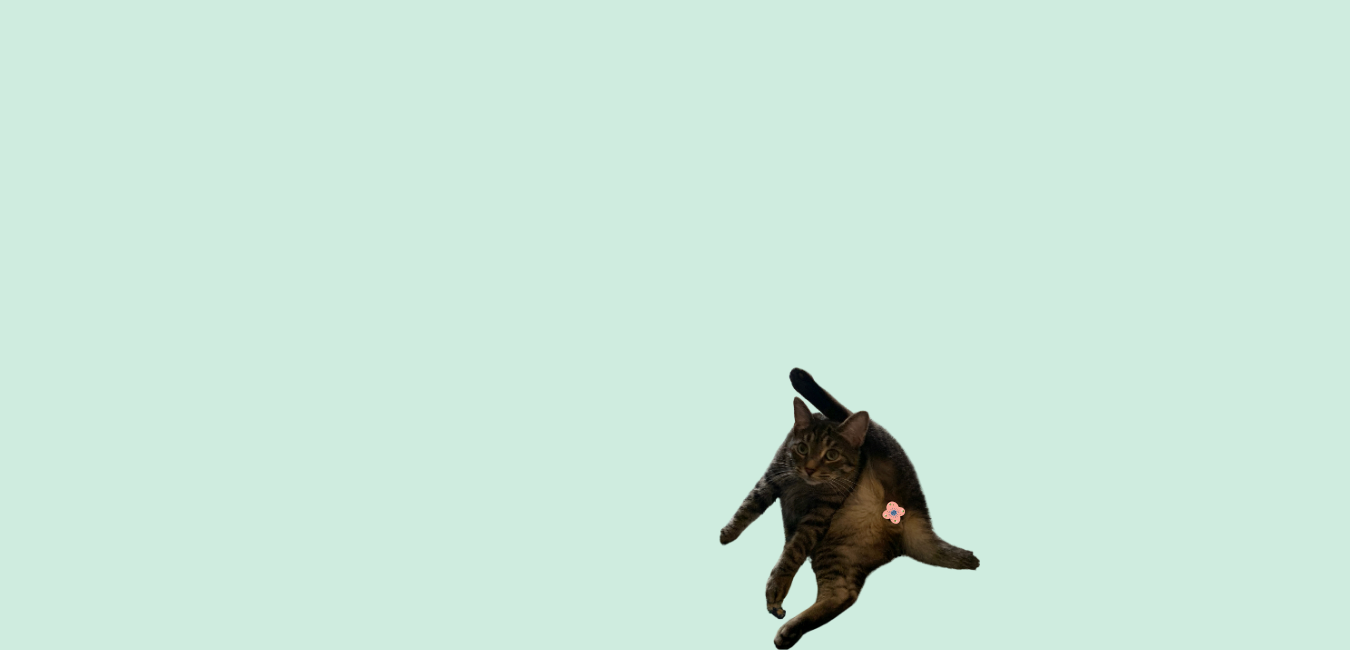RM_SplashPage (4).png