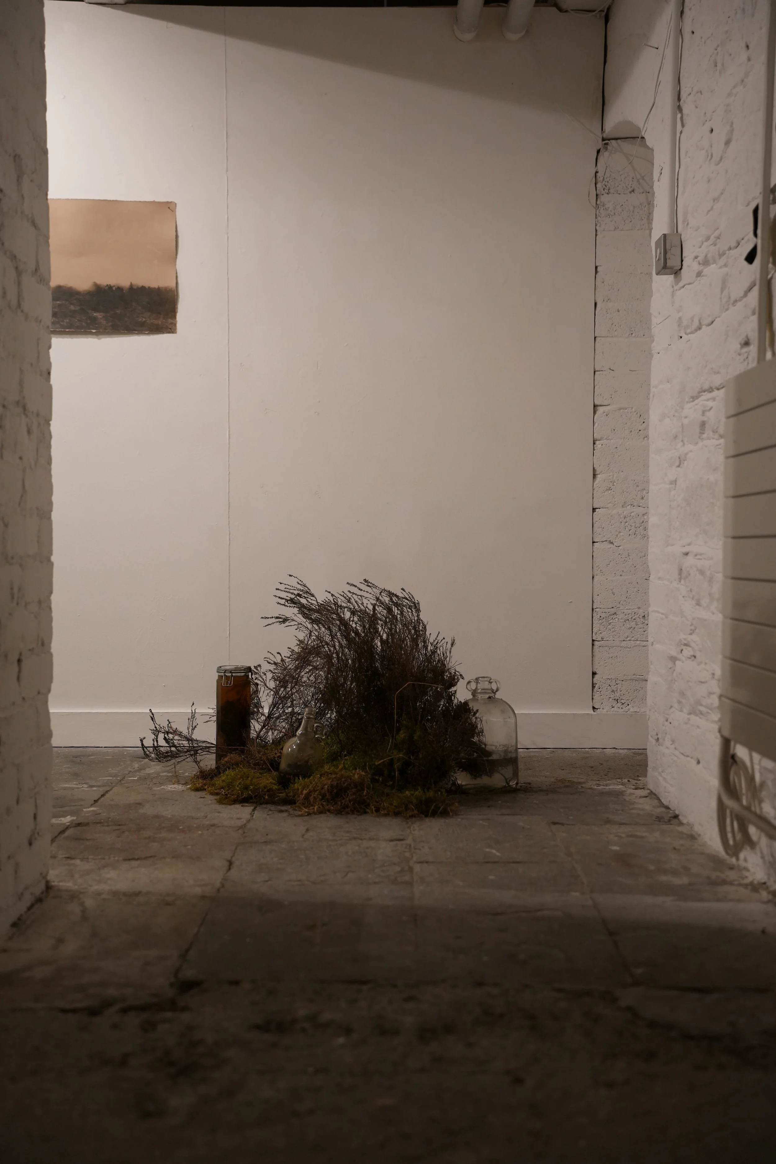 DSC09897.JPG