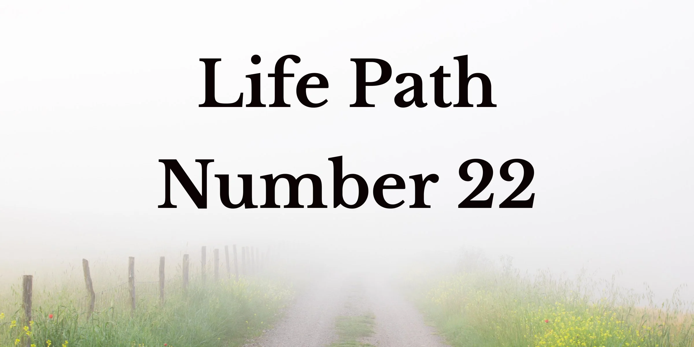Life Path 22 The Manifester — Truly Divine