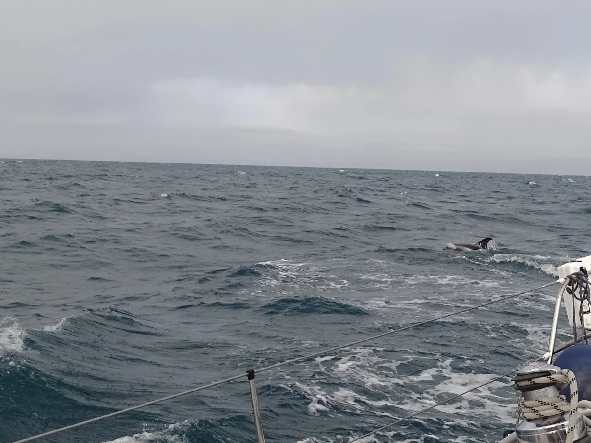 Überfahrt der Nordsee - Insel Orkney