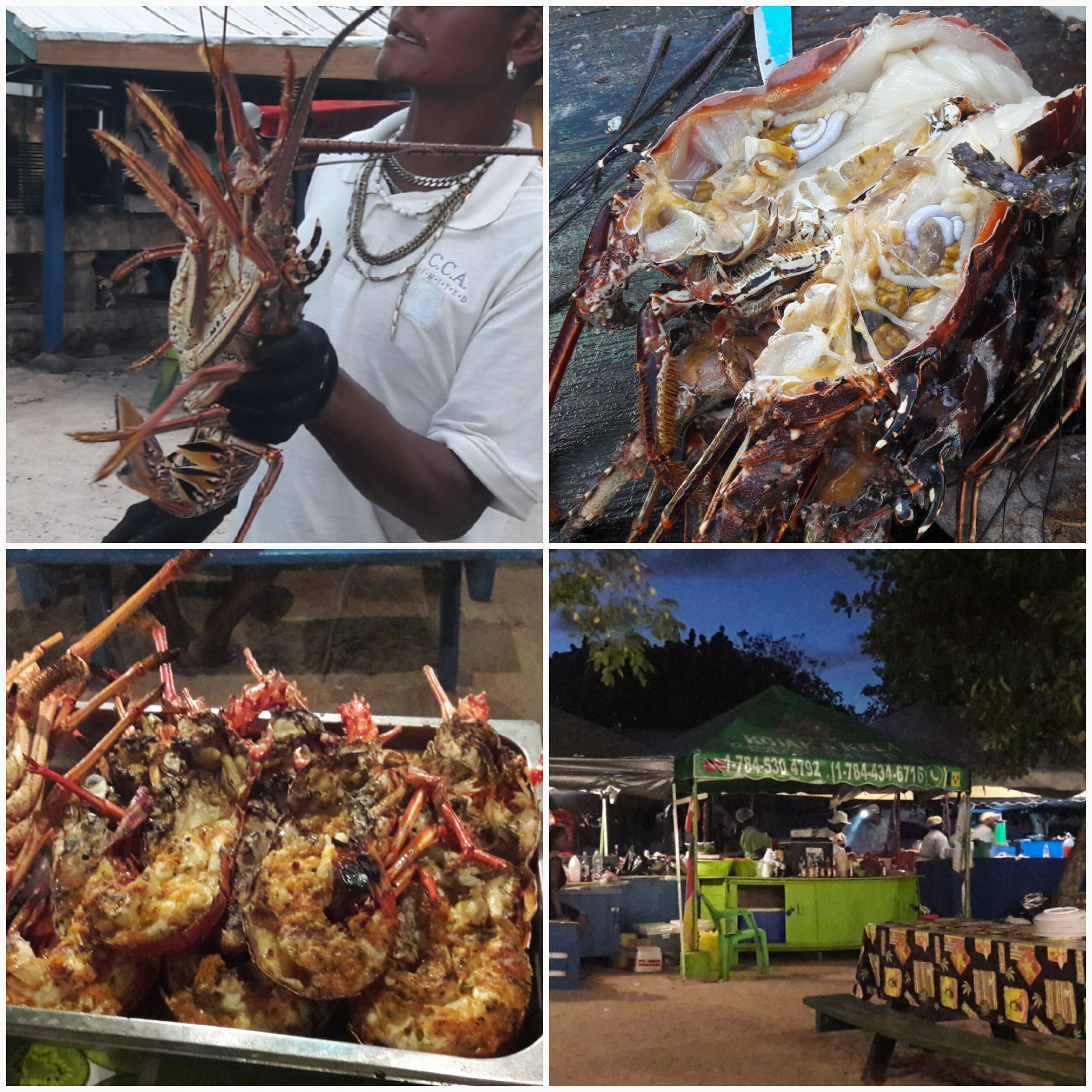 Lobster auf Petit Rameau in den Tobago Cays