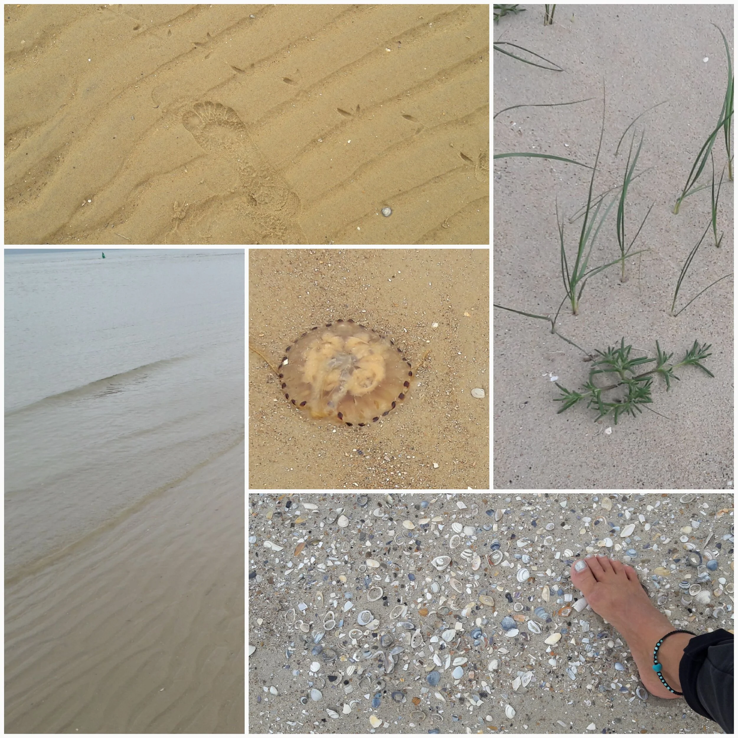 Wattenmeer