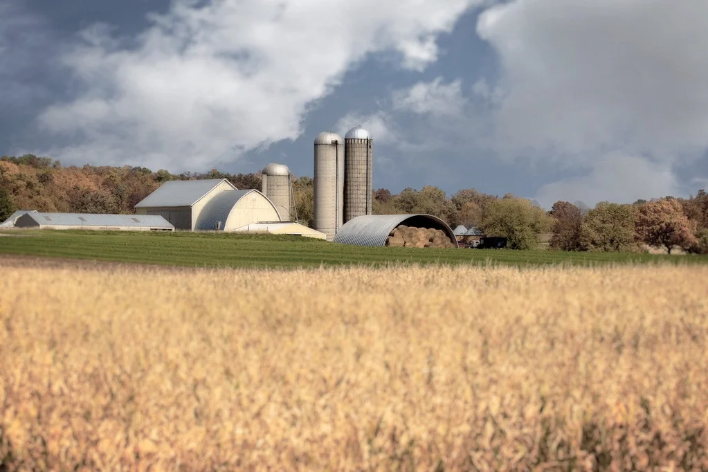 Farm.jpg